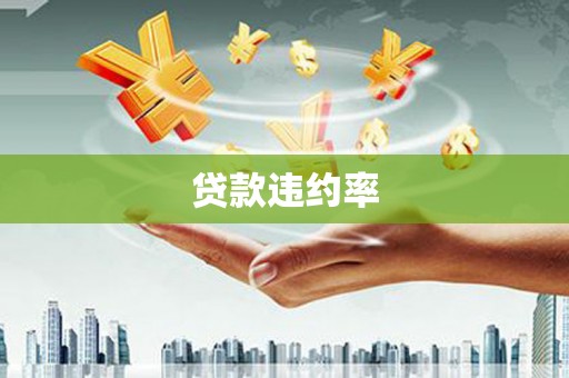 永顺贷款违约率