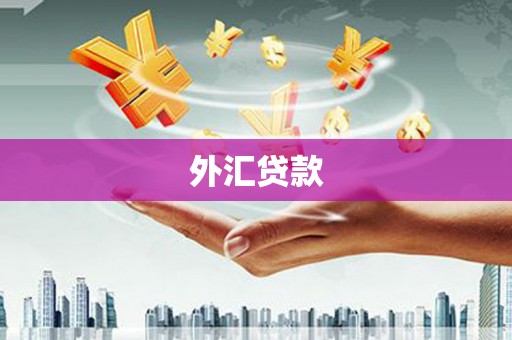 永顺外汇贷款
