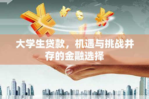 永顺大学生贷款，机遇与挑战并存的金融选择