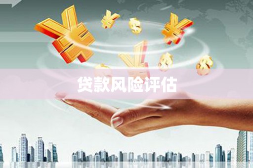永顺贷款风险评估