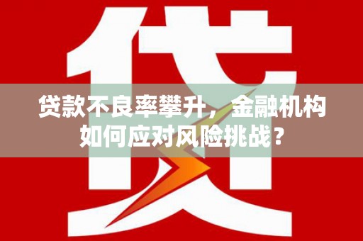 永顺贷款不良率攀升，金融机构如何应对风险挑战？