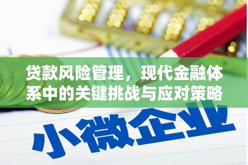 永顺贷款风险管理，现代金融体系中的关键挑战与应对策略