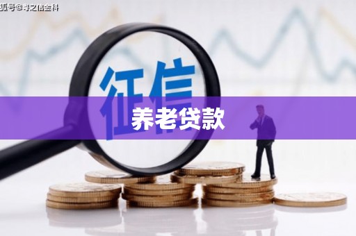 永顺养老贷款