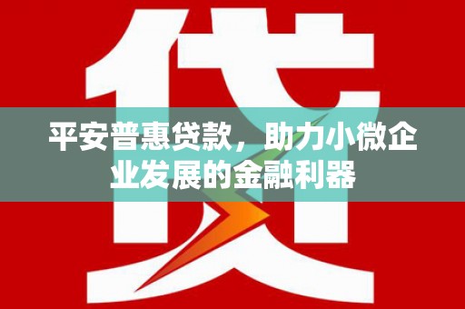 永顺平安普惠贷款，助力小微企业发展的金融利器